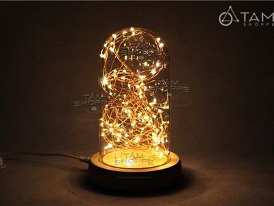 Đèn ngủ nhà kính đèn Led đom đóm chụp thủy tinh trong suốt L-ĐB-04